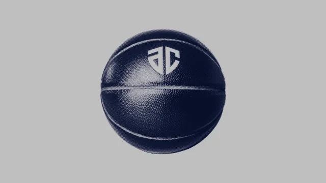 アルティーリ千葉 ハリセン2枚 バスケットボール | d-edge.com.br